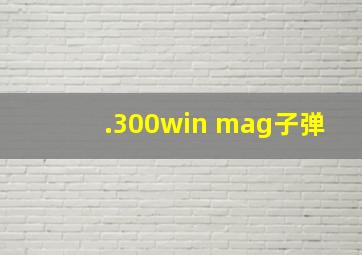 .300win mag子弹